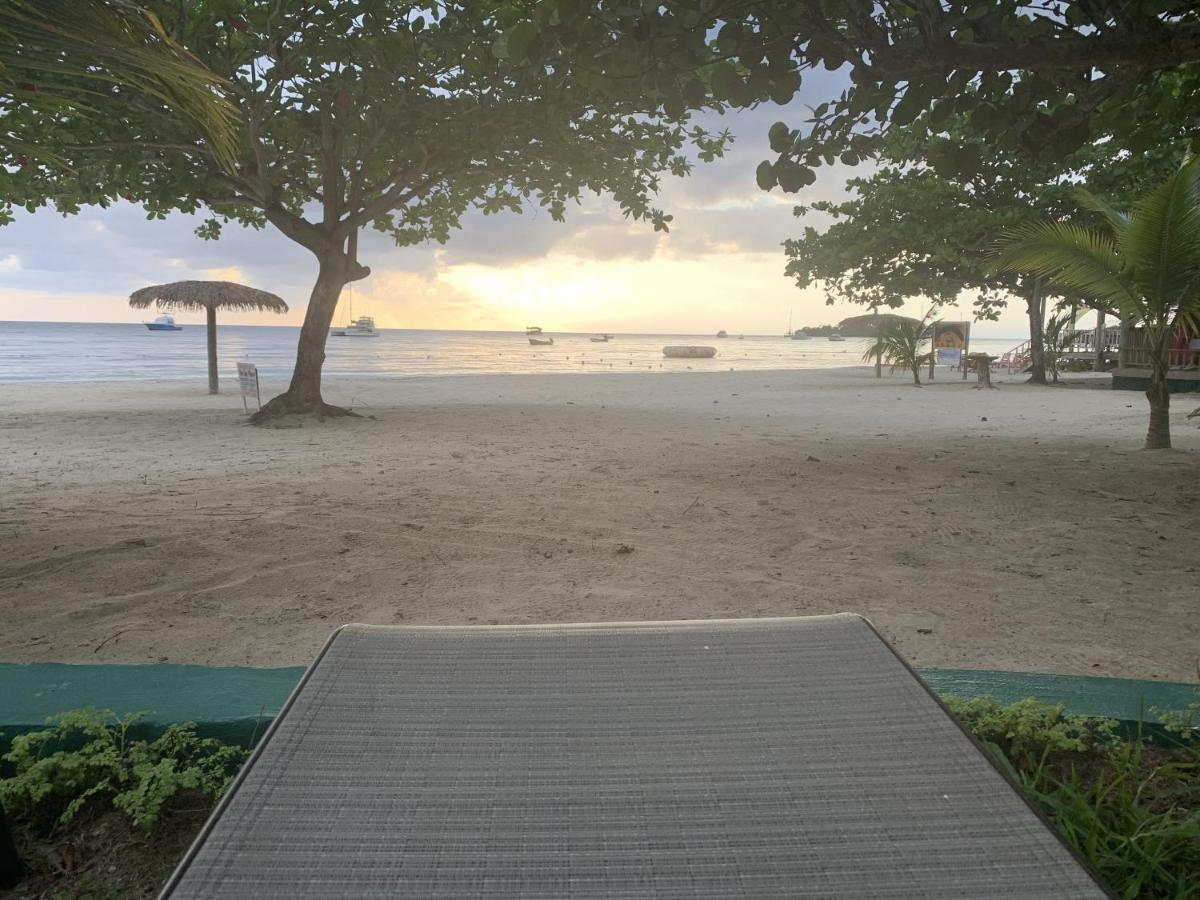King Suite At Oceanview Resort In Jamaica - Enjoy 7 Miles Of White Sand Beach! Negril Exteriör bild