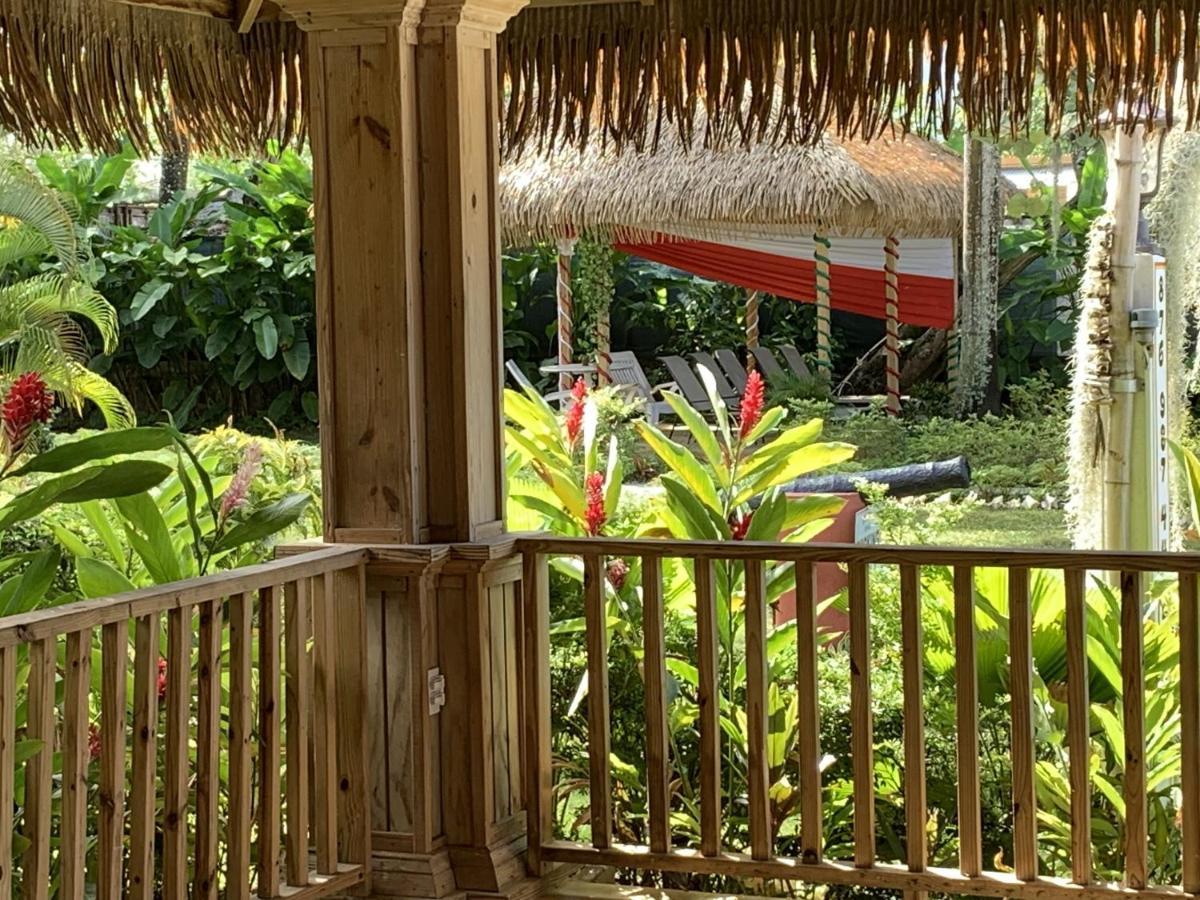 King Suite At Oceanview Resort In Jamaica - Enjoy 7 Miles Of White Sand Beach! Negril Exteriör bild